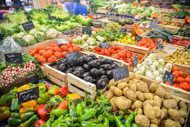 Colorful vegetables showcased